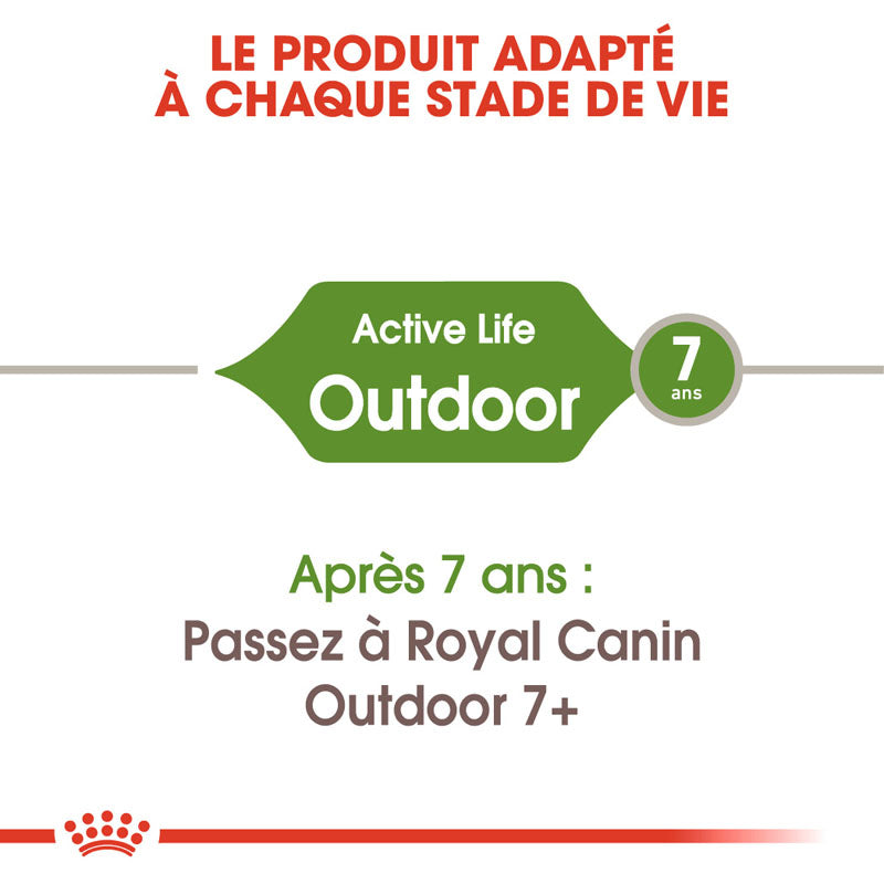 Outdoor, Aliment sec, Chat