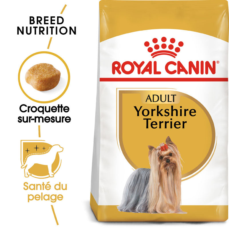 Yorkshire Terrier - Aliment sec, Chien