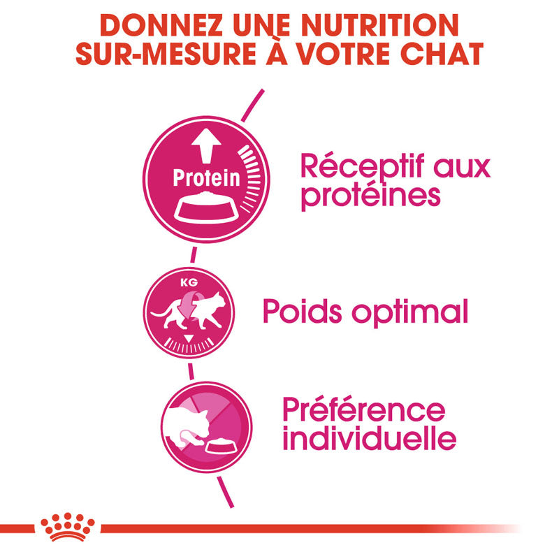 Protein Exigent, Aliment sec, Chat