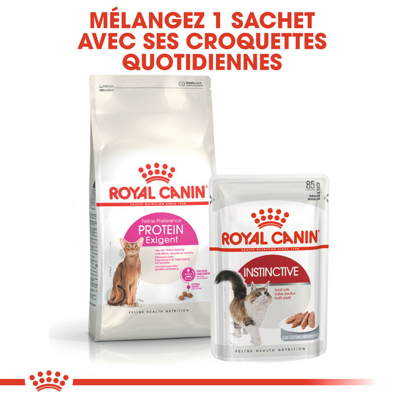 Protein Exigent, Aliment sec, Chat