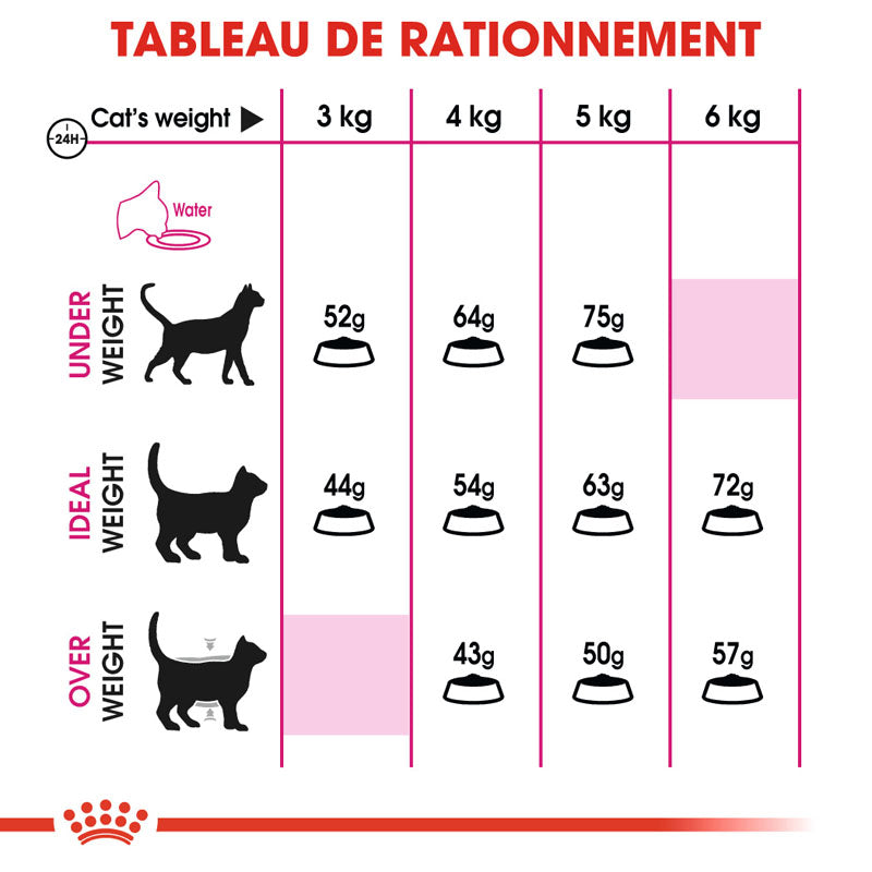 Aroma Exigent, Aliment sec, Chat