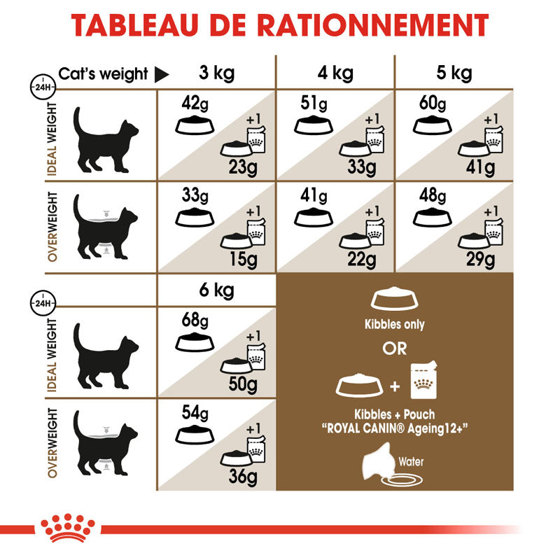 Ageing 12+, Aliment sec, Chat