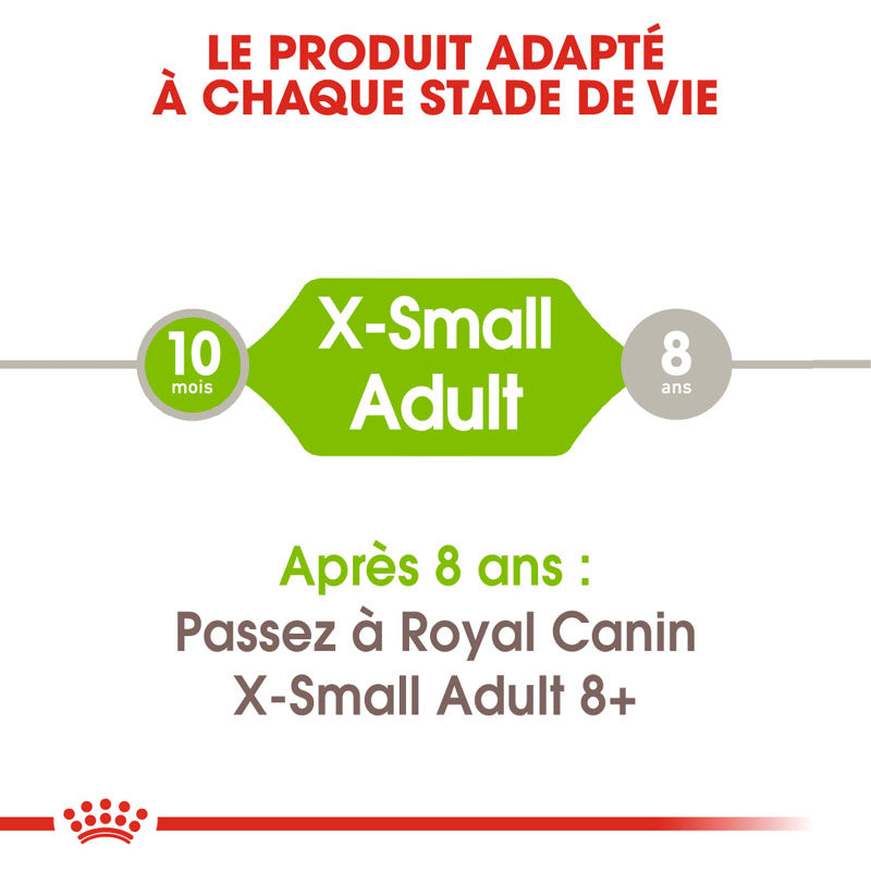 X-Small Adult, Aliment sec, Chien