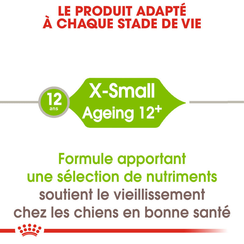 X-Small Ageing 12+, Aliment sec, Chien